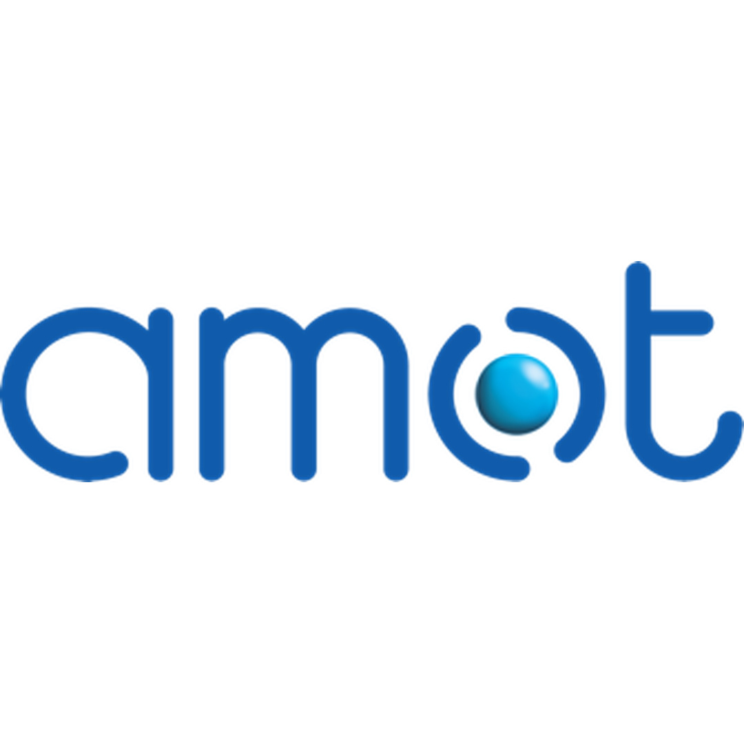 AMOT Controls