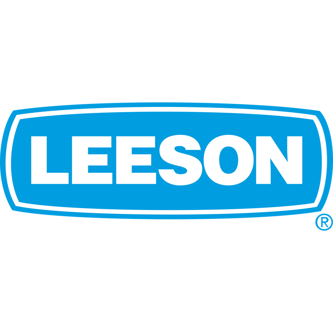 Leeson Electric