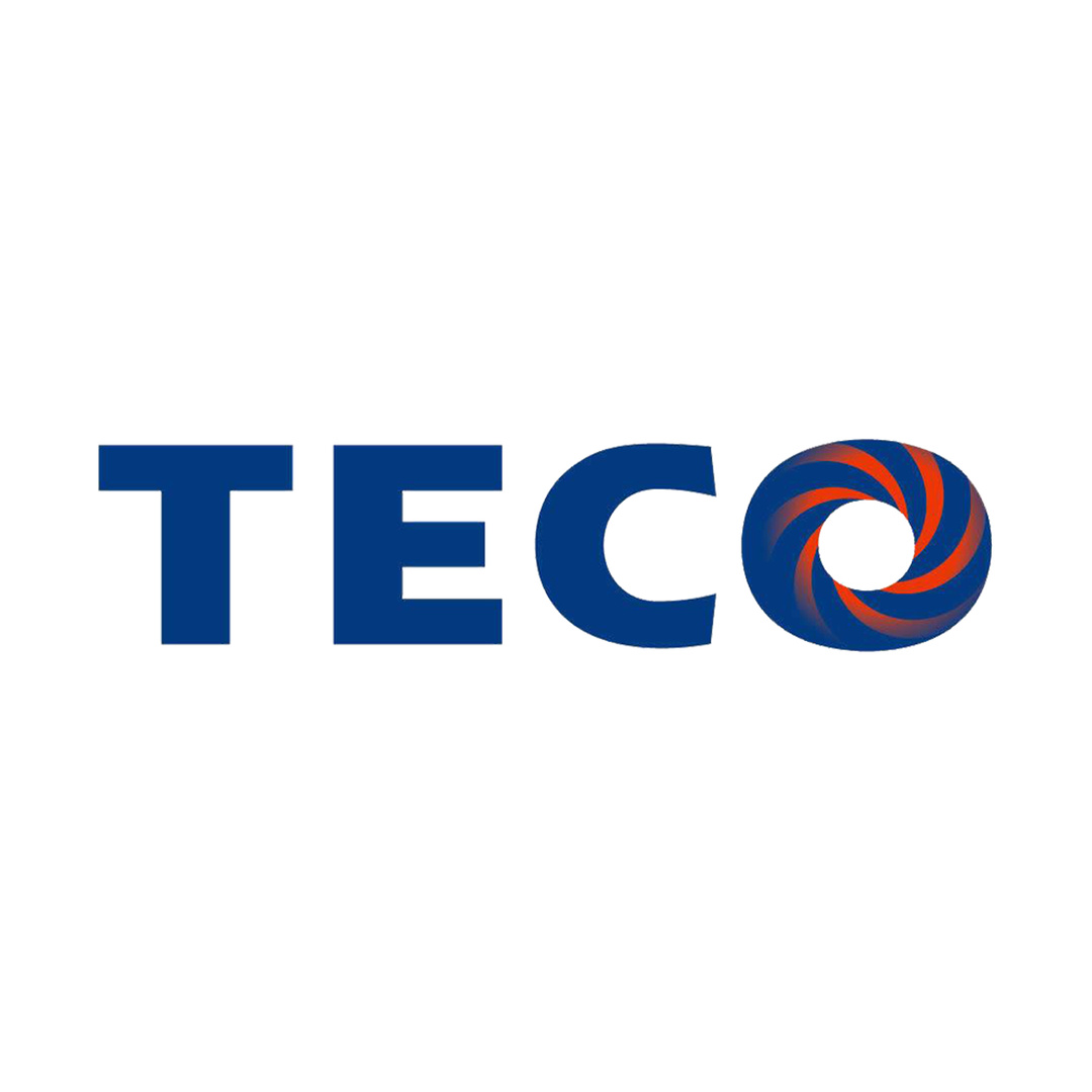 TECO Electric & Machinery